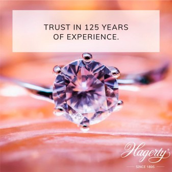 Hagerty Fashion Jewelry Clean Pulitore per Bigiotteria - Barattolo da