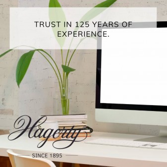 Hagerty Multimedia Spray Pulitore per Display - Flacone da 125 ml