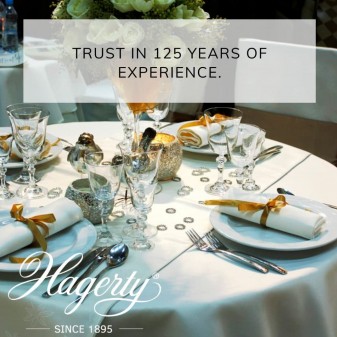 Hagerty Silver Bath Pulitore per Posate in Argento o Metallo