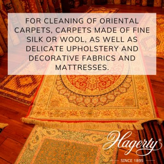 Hagerty Dry Shampoo Detergente in Polvere per Tappezzerie Delicate -