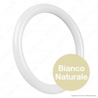 Imperia Circolina LED G10q 18W Lampadina Diametro 30cm - mod.