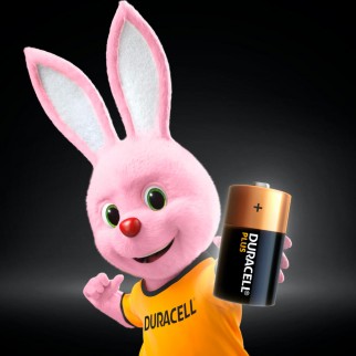 Duracell Plus Power Alcaline Torcia D - Blister 2 Batterie