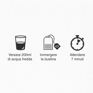 L'Angelica Tisana a Freddo Fragola Limone e Zenzero Vegan Senza