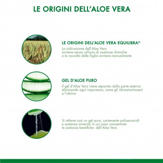 Equilibra Integratore per la Depurazione Aloe Vera 95% con