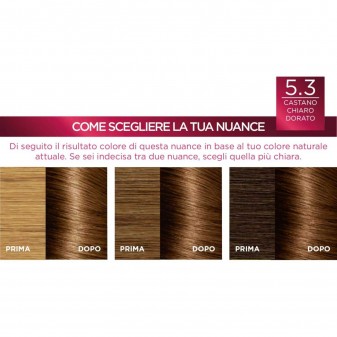L'Oréal Paris Excellence Colorazione Permanente 5.3 Castano Chiaro