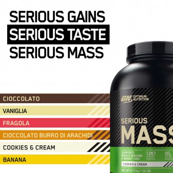 Optimum Nutrition Serious Mass Proteine Whey in Polvere per Sviluppo