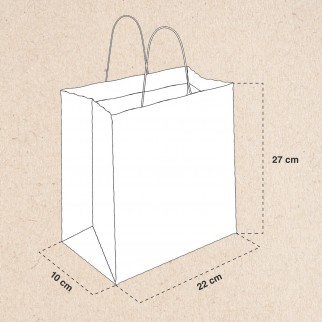 Rex Sadoch 25 Buste di Carta Manici Ritorti Tinta Unita Color Avana