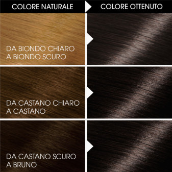 Garnier Belle Color Tinta Permanente per Capelli Colore 80 Nero Naturale
