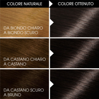 Garnier Belle Color Tinta Permanente per Capelli Colore 80 Nero Naturale