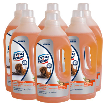 Lysoform Professional Detergente Pavimenti Igienizzante Profumo Golden Argan - 6 Flaconi da 1 Litro