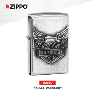 Zippo Accendino Ricaricabile ed Antivento con Fantasia
