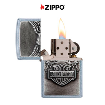 Zippo Accendino Ricaricabile ed Antivento con Fantasia