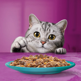 Whiskas Cibo per Gatti Pranzetti in Salsa Mari e Monti - 6 Bustine