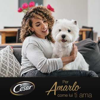 Cibo per Cani con Pesce Verdure Riso Cesar Scelta dello Chef