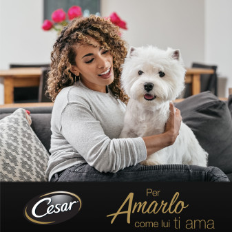 Cibo per Cani con Pollo e Verdure Cesar Ricette di Campagna