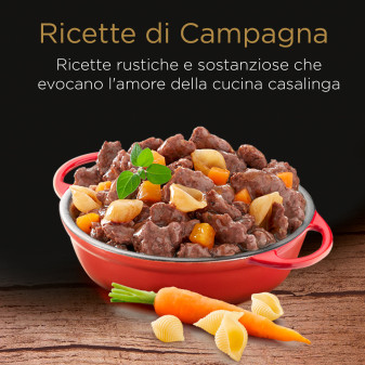 Cibo per Cani con Manzo Pasta Carote e Prezzemolo Cesar 14x