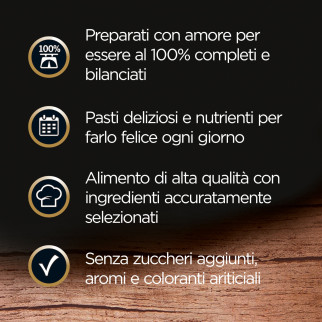 Cibo per Cani con Manzo Pasta Carote e Prezzemolo Cesar 14x