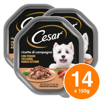 Cibo Cani con Tacchino Manzo Erbe Cesar Ricette di Campagna