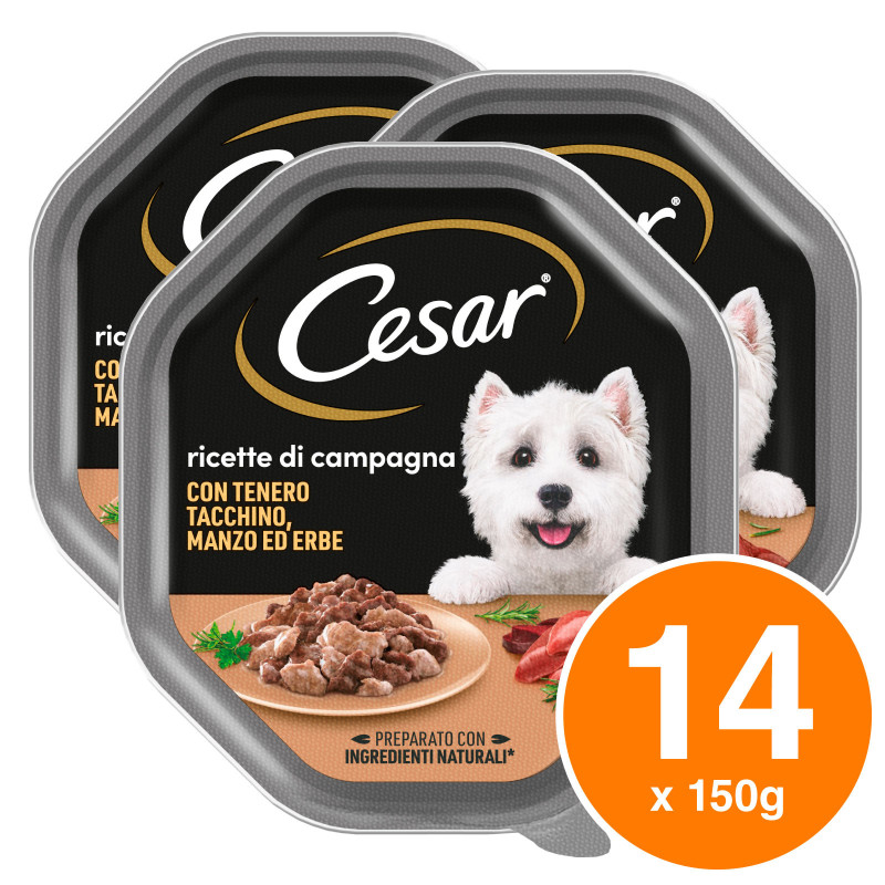 Cibo Cani con Tacchino Manzo Erbe Cesar Ricette di Campagna