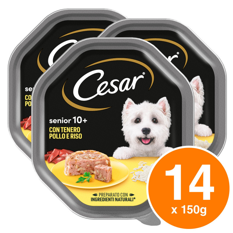Cibo per Cani con Pollo e Riso in Gelatina Cesar Senior 10+