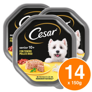 Cibo per Cani con Pollo e Riso in Gelatina Cesar Senior 10+