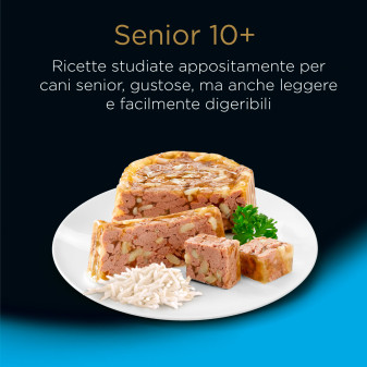 Cibo per Cani con Pollo e Riso in Gelatina Cesar Senior 10+