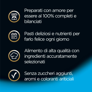Cibo per Cani con Pollo e Riso in Gelatina Cesar Senior 10+