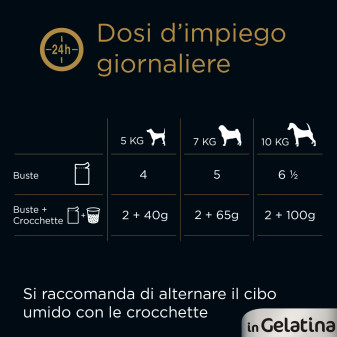 Cibo per Cani con Pollo e Manzo Cesar Selezione in Gelatina