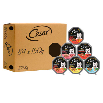 Cibo per cani con Pollo Manzo Pesce e Vitello Cesar 6 gusti