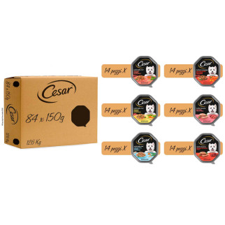 Cibo per cani con Pollo Manzo Pesce e Vitello Cesar 6 gusti