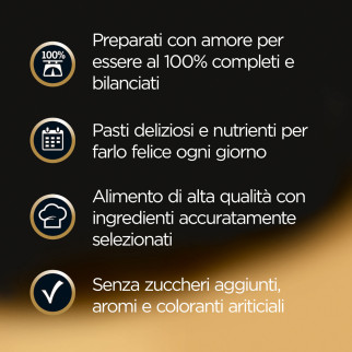 Cibo per cani con Pollo Manzo Pesce e Vitello Cesar 6 gusti
