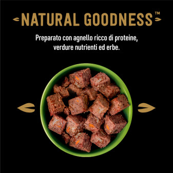 Cibo per Cani Agnello Carote Patate e Spinaci Cesar Natural Goodness