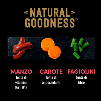 Cibo per Cani Manzo Carote Fagiolini e Erbe Cesar Natural Goodness