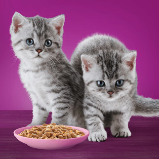 Whiskas Pure Delight Cibo per Gatti Junior Pollo e Tacchino