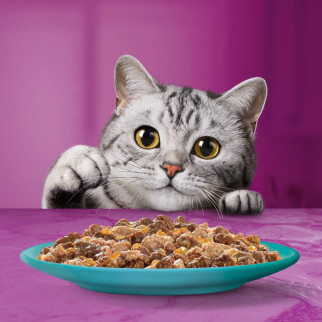 Acquista Cibo per Gatti Pranzetti in Salsa al Pesce Whiskas