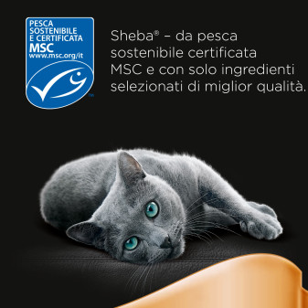 Cibo per Gatti Sheba Classics Paté Salmone - 22 Vaschette