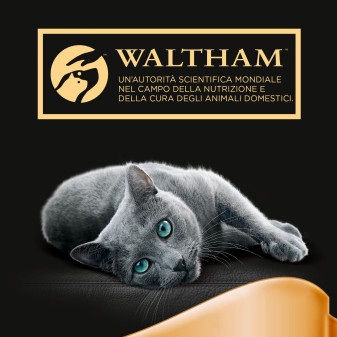 Cibo Umido per Gatti al Gusto Pollo 22 vaschette Sheba 85g