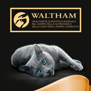 Cibo Umido per Gatti al Gusto Pollo 22 vaschette Sheba 85g