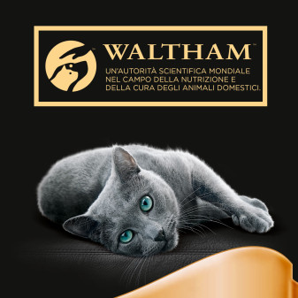 Cibo Umido per Gatti al Gusto Vitello e Pollo Sheba 22x