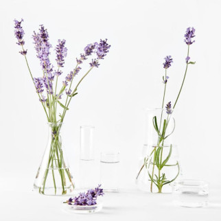 Crema Giorno Rimpolpante Antirughe Olio Lavanda Acido Ialuronico Garnier Bio