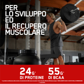 Gold Standard Proteine Doppio Cioccolato Optimum Nutrition