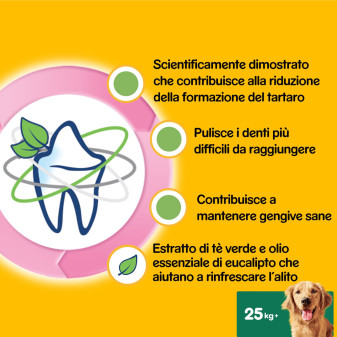 Dentastix Oral Care Large Pedigree per l'igiene orale del cane 21 Stick