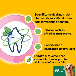 Dentastix Oral Care Large Pedigree per l'igiene orale del cane 21 Stick