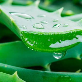 Acqua Micellare Struccante con Aloe Senza Risciacquo Garnier