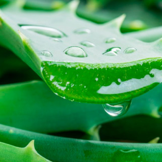 Acqua Micellare Struccante con Aloe Senza Risciacquo Garnier