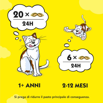 Snack all'Erba Gatta per Gatti - Confezione 60g Catisfactions