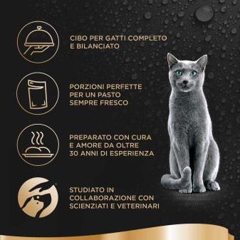 Sheba Délices Du Jour in Salsa Gusto Pollo e Tacchino per Gatti 75x