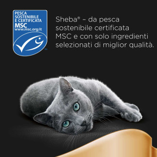 Sheba Delicatezze in Gelatina Selezione del Mare per Gatti 60x 85g