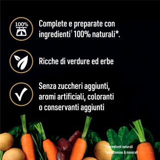 Cibo per Cani Agnello Carote Patate e Spinaci Cesar Natural Goodness