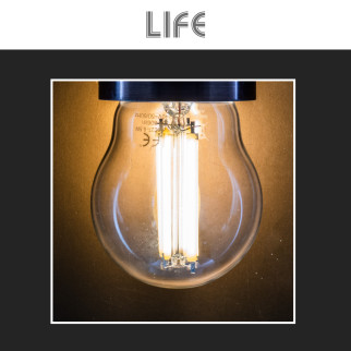 Lampadina LED E27 6,5W Minisfera G45 MiniGlobo Filament Life